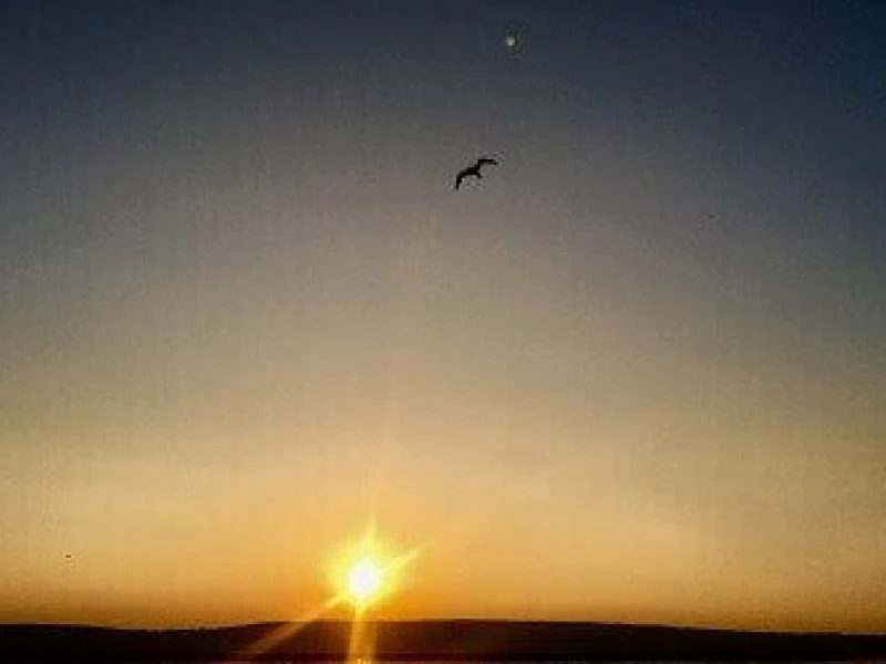 Company outing Burgenland 2019