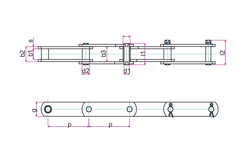 Bush conveyor chains